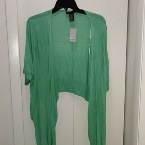 NWT Lane Bryant green sweater 18/20